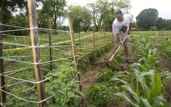 Tuscumbia Community Garden