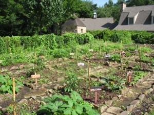 Garden plots