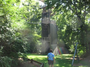 Zipline