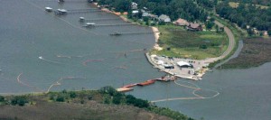 Gulf Coast Oil Spill